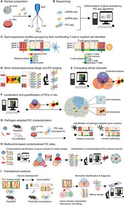 In situ veritas: combining omics and multiplex imaging can facilitate the detection and characterization of cell-cell interactions in tissues